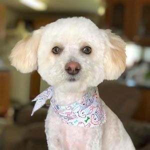 Meet your Posher, Donna